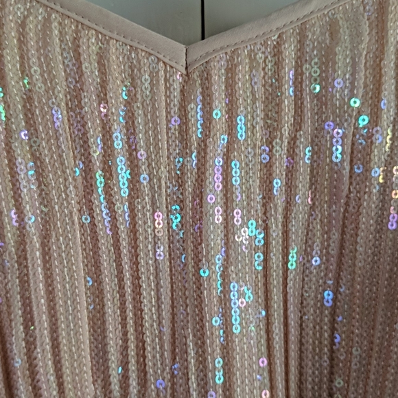 Anthropologie NWT beaded sequin cami size 12P - Picture 4 of 4